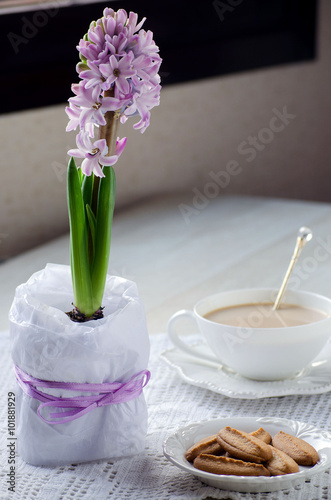 A Cup of coffee with milk, biscuits and hyacinth