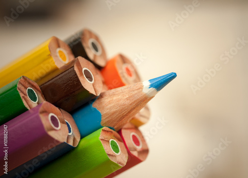 Cuadro en lienzo Standing out sharp color pencil