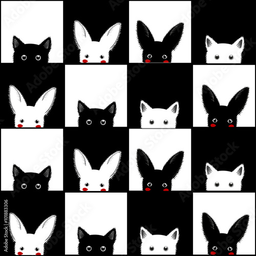 Black White Cat Rabbit Ches...
