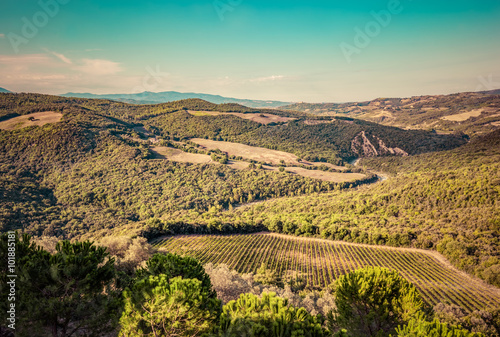 Tuscany landscape with green meadows, vineyards, forests. Italy. Aerial © Photocreo Bednarek