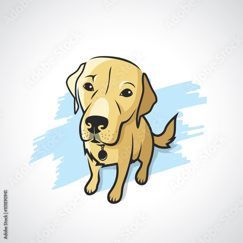 Labrador Retriever