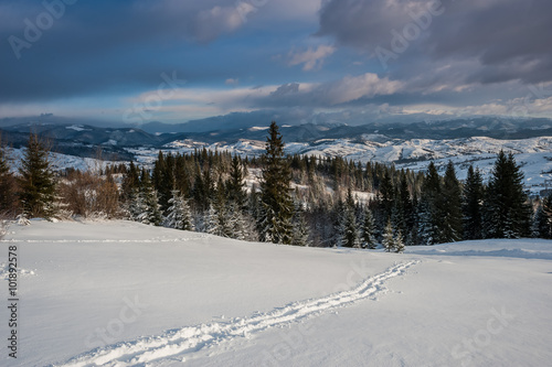 The path through the snow
