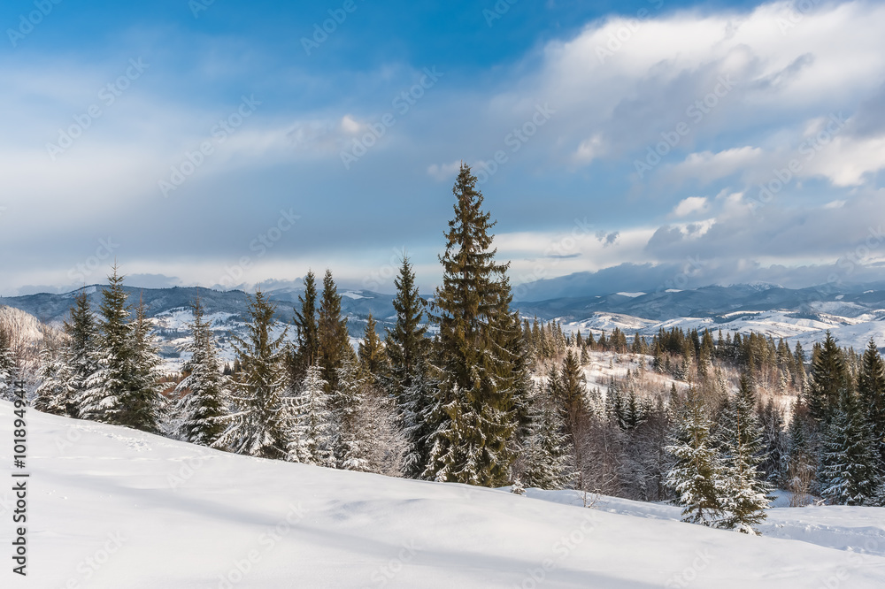 Winter landscape Winter landscape
