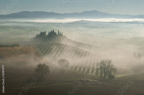 Landscape with fog