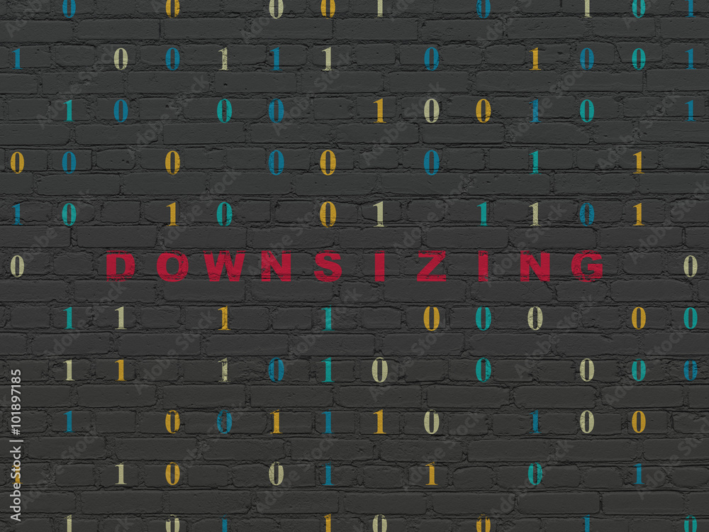 Business concept: Downsizing on wall background Business concept: Downsizing on wall background