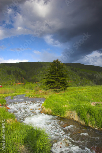 Alpine creek