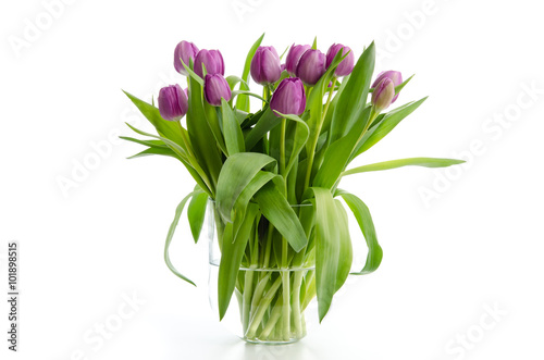 Fototapeta Naklejka Na Ścianę i Meble -  Lila Tulpen
