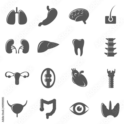 Human internal organs black icons vector set. Human organ,  kidney human, heart and lung, liver and brain, stomach human health illustration