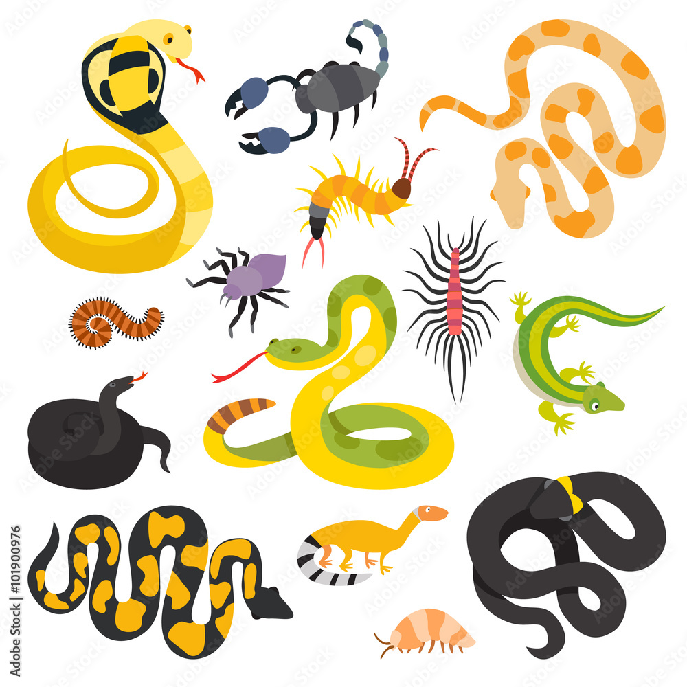 Valokuva Vector flat snakes collection isolted on shite background