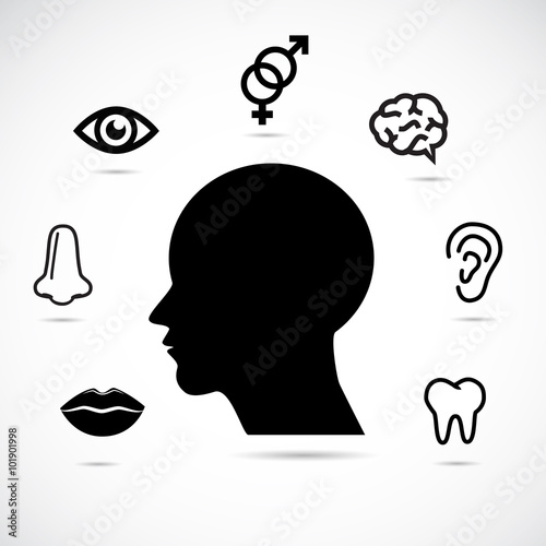 Human head and body parts vector icons.