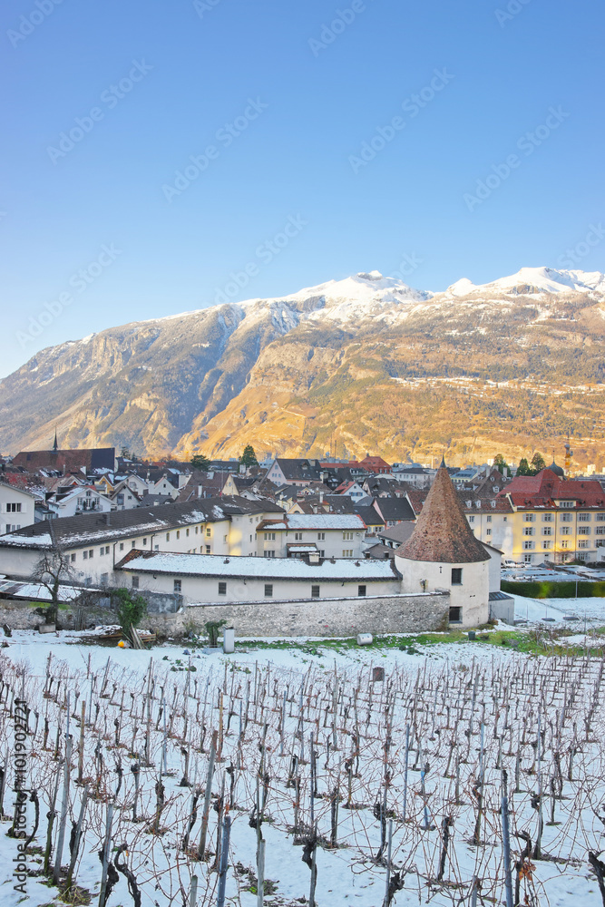 Alps and Vineyard in Chur at sunrise