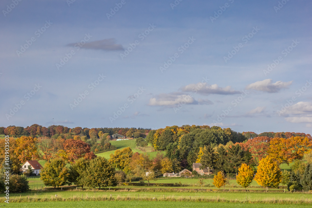 Vibrant autumn colors in Groesbeek