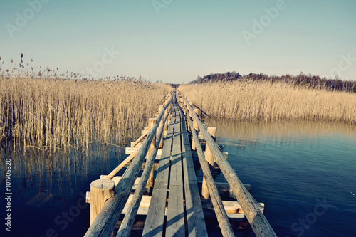 Swamp Of Kanieris in Latvia photo