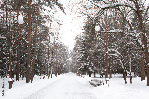 Snow-covered alley in a winter city Park