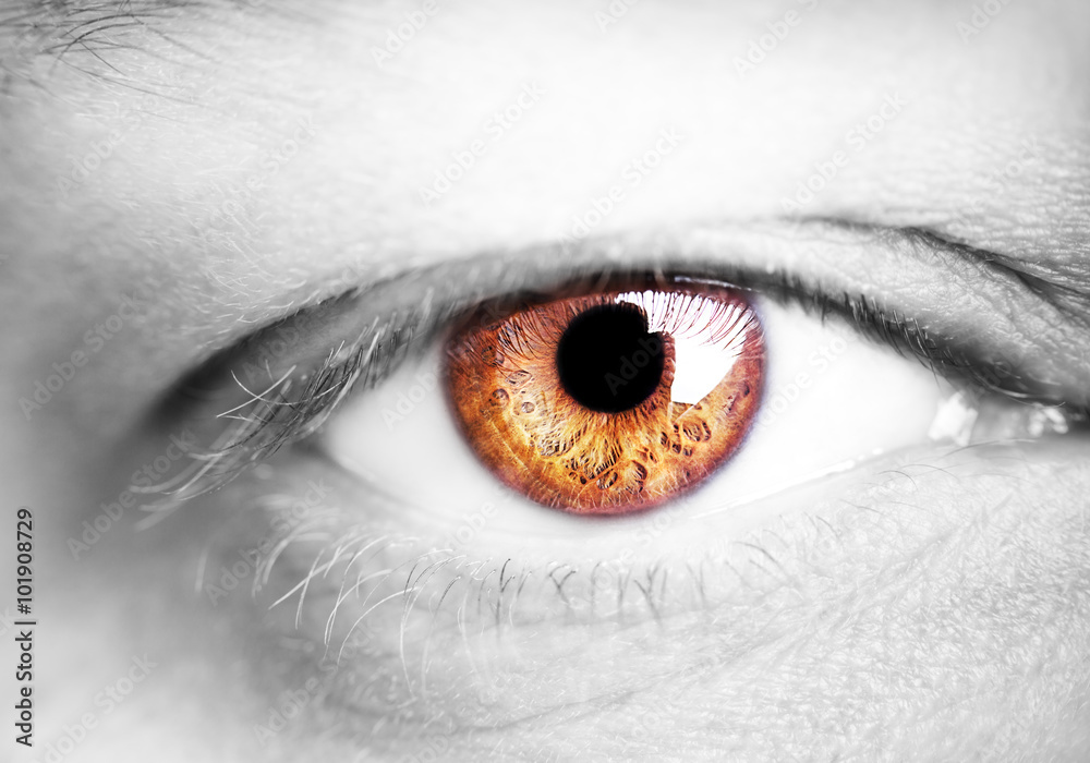 Fototapeta premium Image of a beautiful insightful look human eye