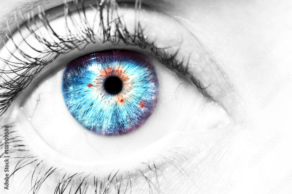 Fototapeta premium Image of a beautiful insightful look human eye