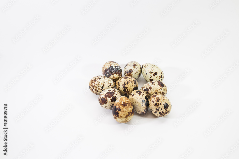Obraz premium quail egg. Isolated on white background