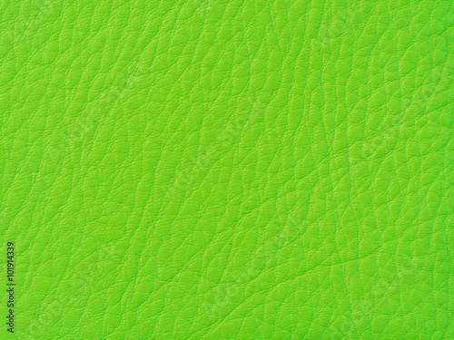 texture of green leather