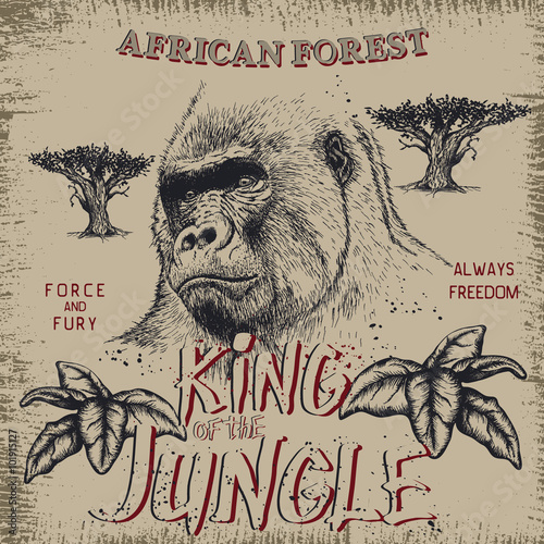 Vintage label with gorilla