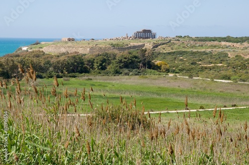 Greek temple ruins in the Selinunte, Sicily, Italy photo