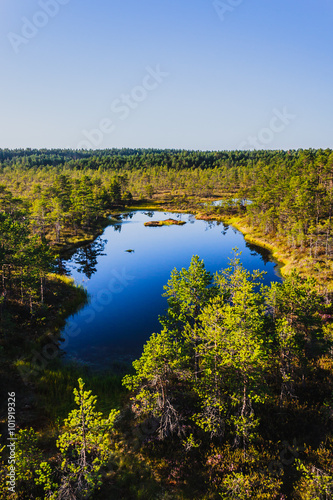  Lake on a swamp Viru Raba