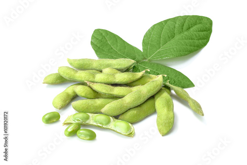 fresh young soybean on white