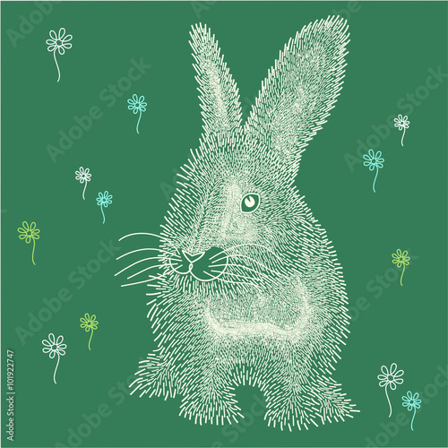 Fluffy white Easter bunny on green glade.