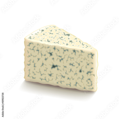 Blue cheese isolated on white vector