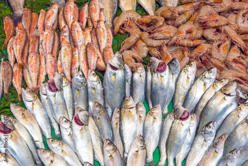 Fresh fish for sale seen at a market in Istanbul