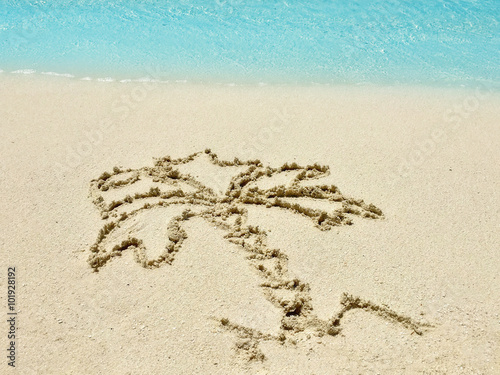 Drawing "Palm-tree" in the sand on a tropical island, Maldive