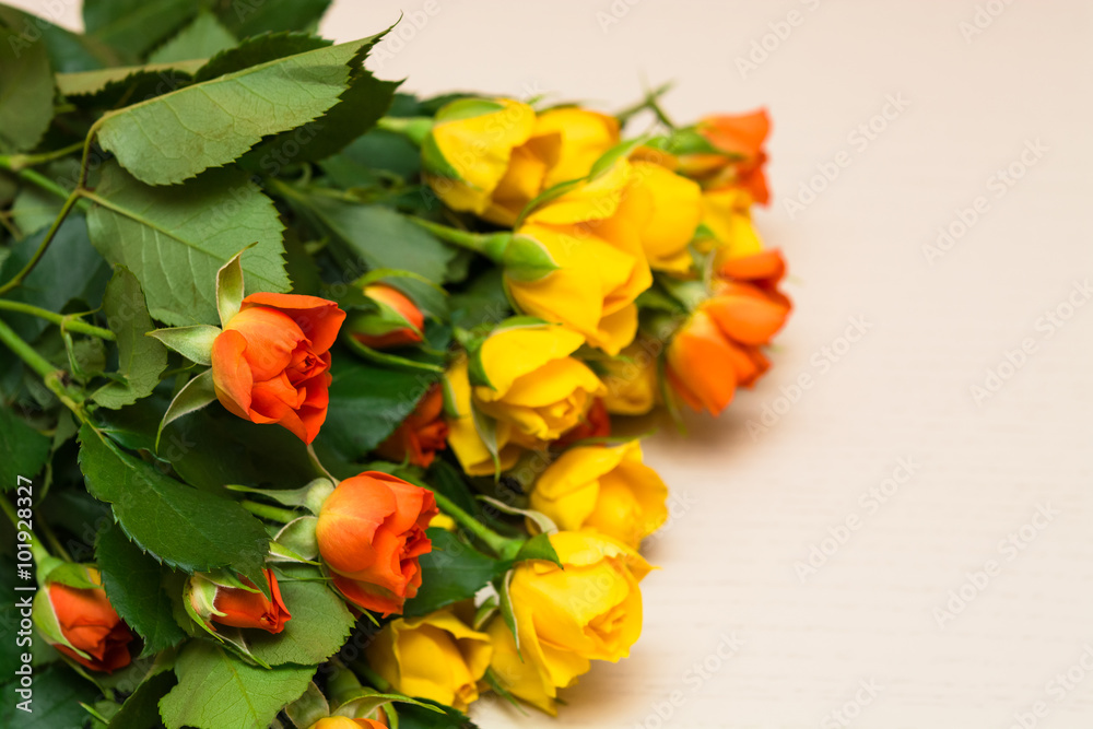 Yellow and orange roses on a light wooden background. Women' s d Yellow and orange roses on a light wooden background. Women' s d