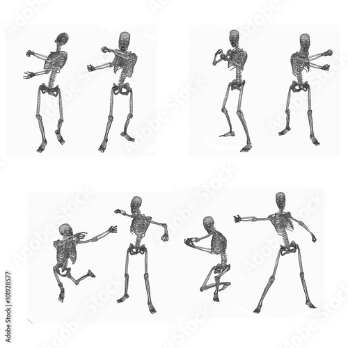Fototapeta Naklejka Na Ścianę i Meble -  digitally rendered illustration of human skeletons in various poses