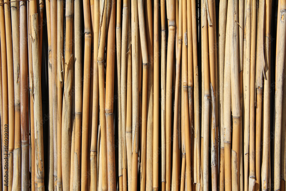 background from the set of rods /fence background of many small wooden sticks background from the set of rods /fence background of many small wooden sticks