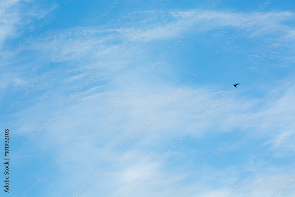 Fototapeta premium The sky in afternoon time background.