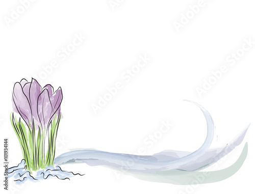Watercolor Crocus