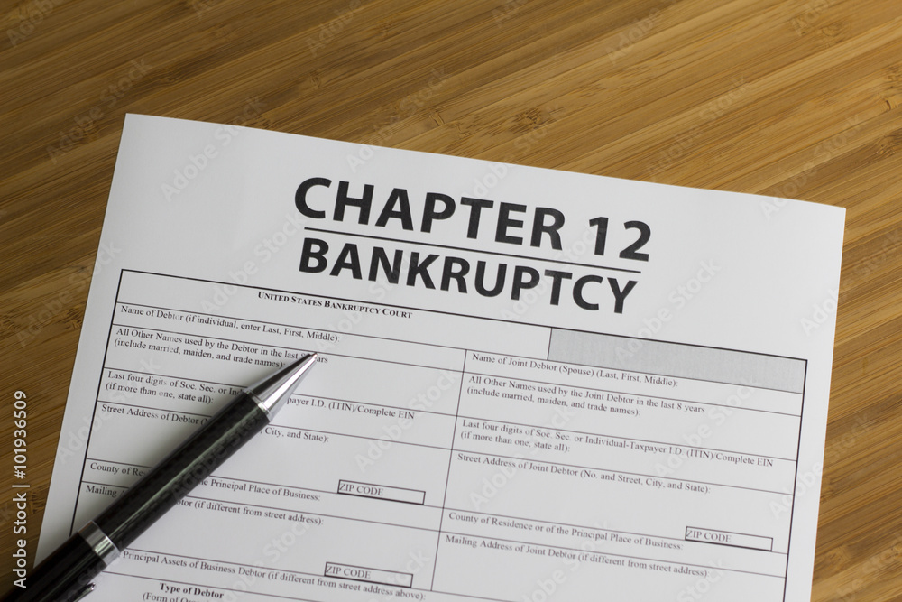 Bankruptcy Chapter 12 Bankruptcy Chapter 12