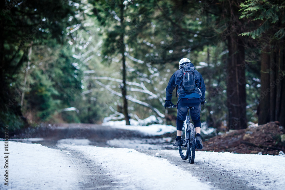 Fototapeta premium Mountain bike rider ascending the mountain in preparation for a descent