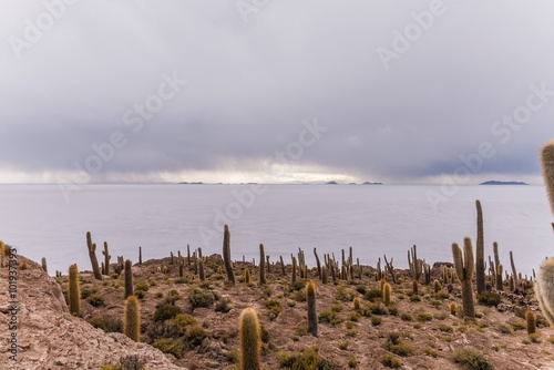 rain approaching over uyuni seen from incahuasi island