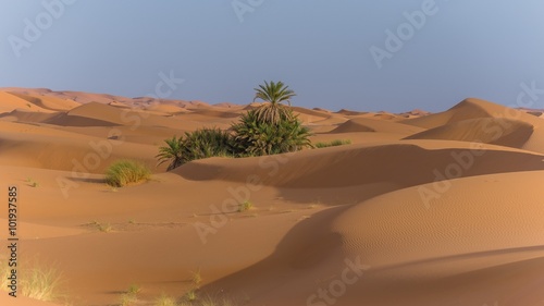 exploring the sahara desert in morocco