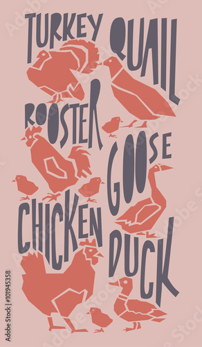 vector farm animals illustration with typography poster