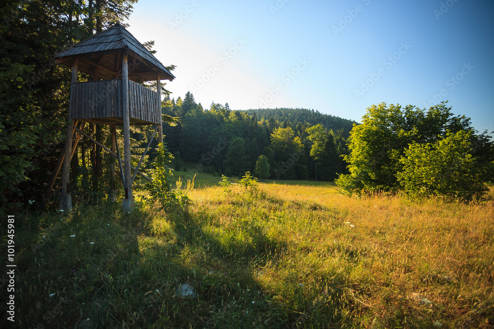 Φωτογραφία Abandoned lookout tower for hunting in national park Tara in Serbia