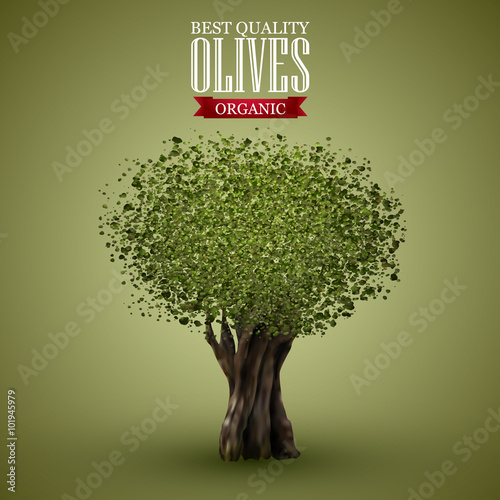 Olive tree on o green background.