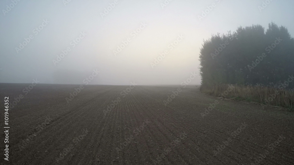 Sun rising through the fog on freshly plowed field in early autumn's morning Sun rising through the fog on freshly plowed field in early autumn's morning