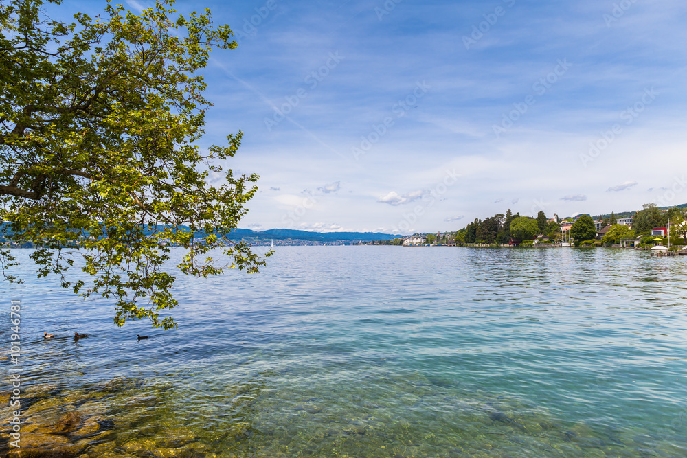 Beautiful view of Zurich Lake