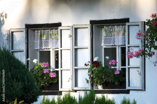 In gradma's house;rural house facade photo