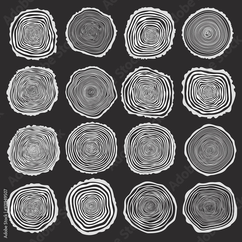 Collection of vector tree rings background