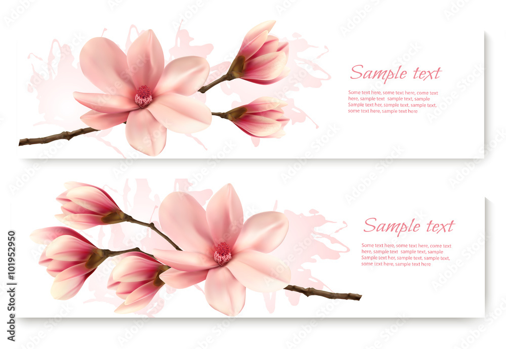 Naklejka premium Two beautiful magnolia banners. Vector.