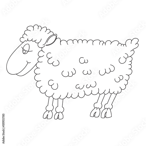 Illustration of a lamb contour