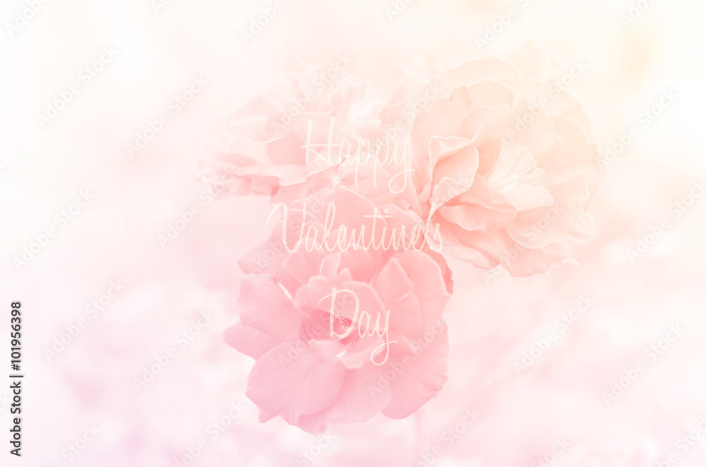 happy valentine's day 14 february