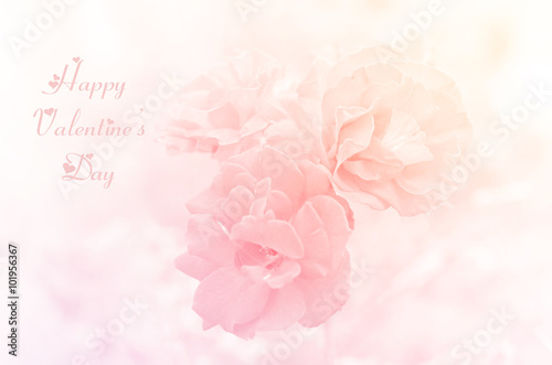 happy valentine's day 14 february
